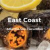 SEACOO Dried East Coast Sea Cucumber HG-Whole 454g Bag (复制)