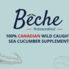 SEACOO Dried East Coast Sea Cucumber HG-Whole 454g Bag (复制)