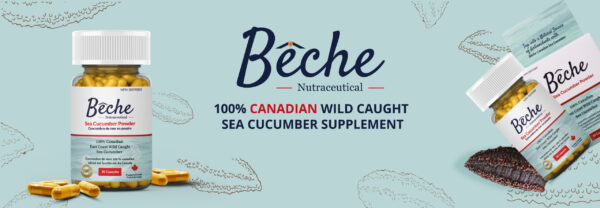 home-slide4 SEACOO Dried East Coast Sea Cucumber HG-Whole 454g Bag (复制)