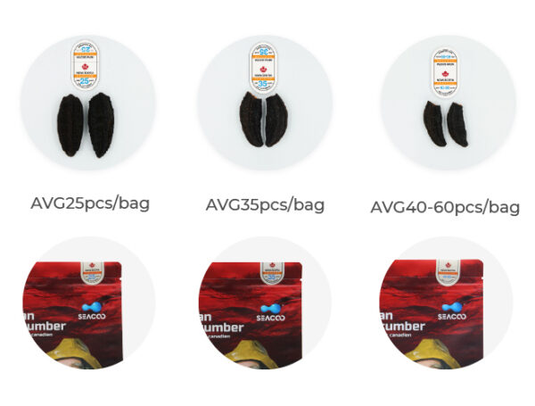 SEACOO Dried East Coast Sea Cucumber HG-Whole 454g Bag