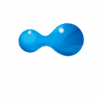 SEACOO Dried East Coast Sea Cucumber HG-Whole 454g Bag (复制)