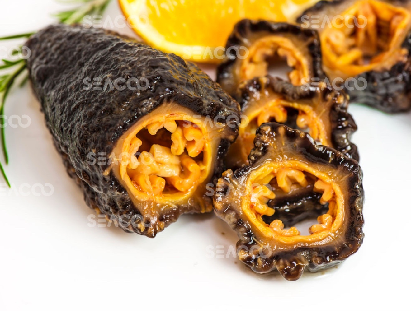 SEACOO Dried East Coast Sea Cucumber Whole 454g Gift Box