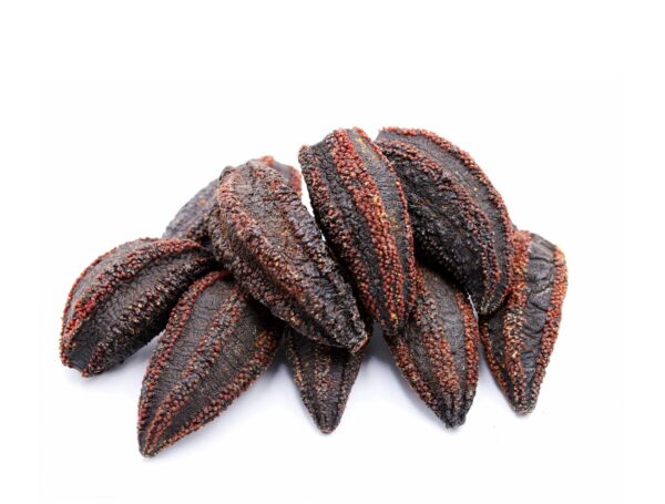 SEACOO Dried East Coast Sea Cucumber HG-Whole 454g Bag