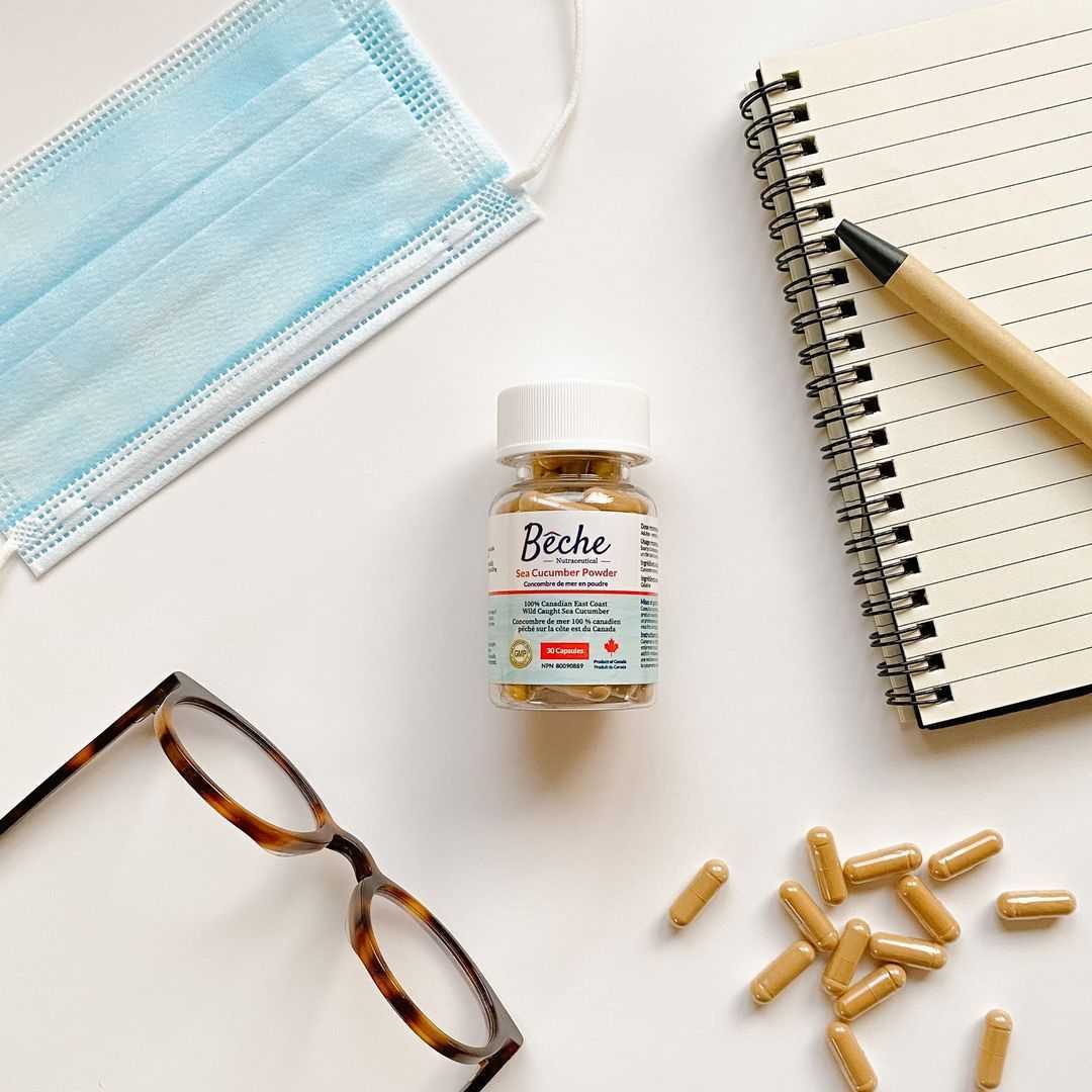 Bêche Sea Cucumber Powder Supplement